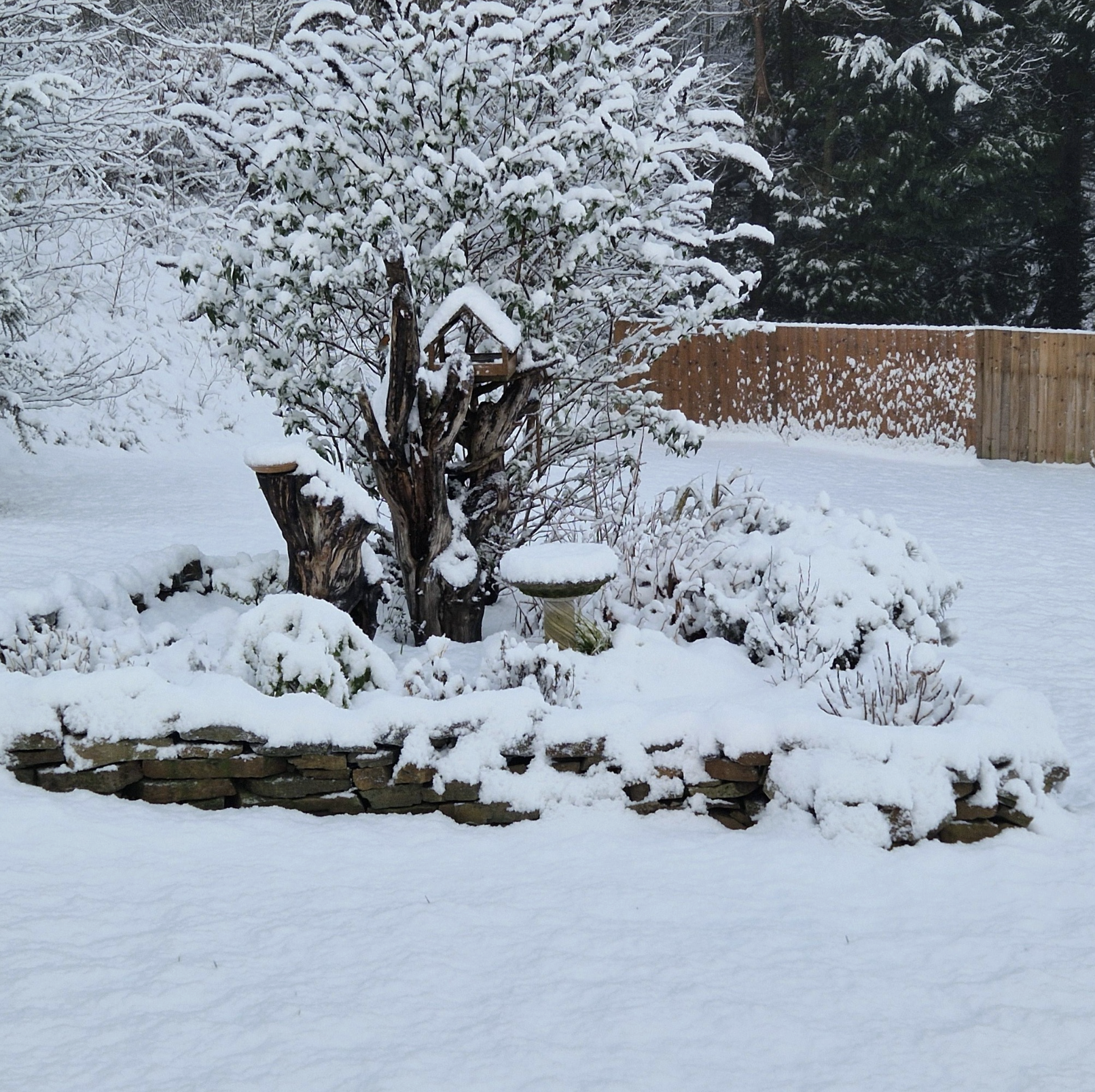 Birdhouse covered in winter snow