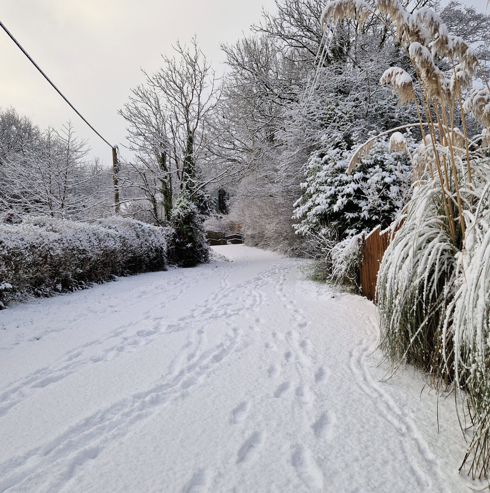 Snowy footpath leading to the cabin